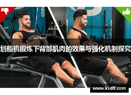 划船机锻炼下背部肌肉的效果与强化机制探究